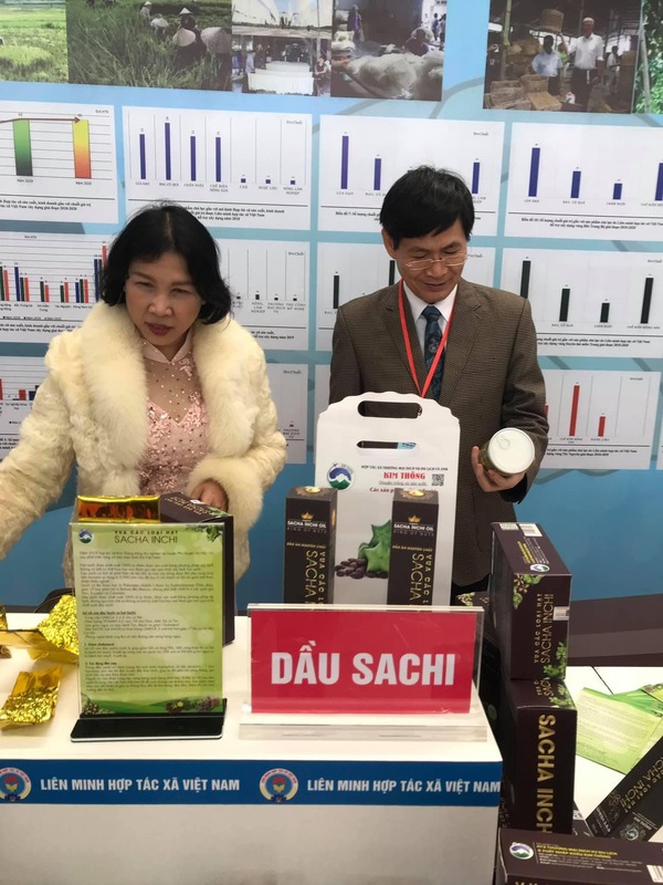 Hình ảnh hợp tác xã Kim Thông - Hạt Sacha Inchi - Hợp Tác Xã Thương Mại Dịch Vụ Du Lịch Và Xuất Nhập Khẩu Kim Thông